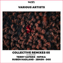 Collective Remixes 05