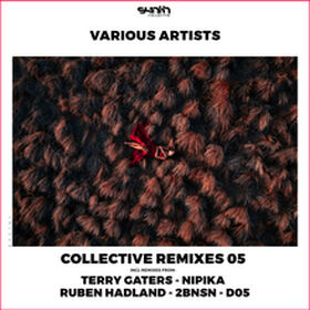 Collective Remixes 05