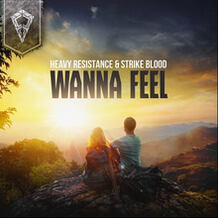 Wanna Feel